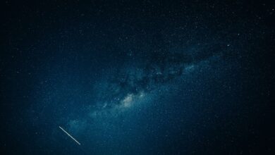 Captivating view of the Milky Way galaxy and a shooting star across a clear night sky.