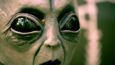 Detailed close-up of an alien face mask with black eyes, perfect for Halloween or sci-fi themes.