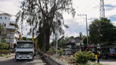 Street view of a truck near fallen power lines with trees and buildings.