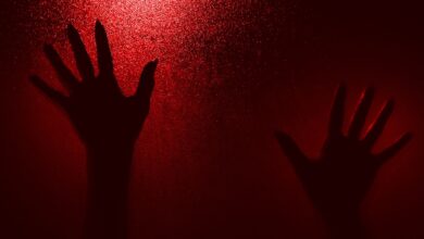 Silhouetted hands reaching up on a textured red-lit background, evoking mystery and drama.