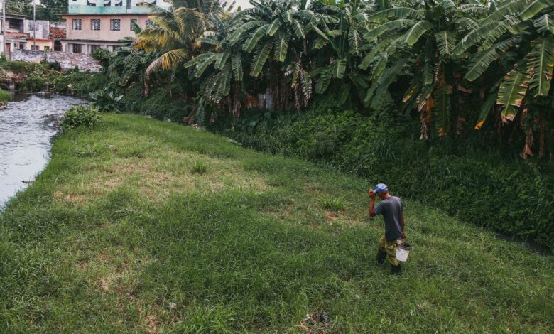 Man walking along a riverbank surrounded by lush vegetation in a rural village setting.