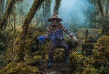 A mysterious figure in a costume stands among moss-covered trees in a foggy, enchanted forest.