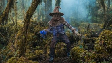 A mysterious figure in a costume stands among moss-covered trees in a foggy, enchanted forest.