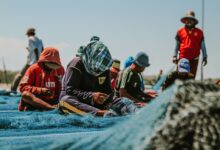 Group of fishermen repairing nets on a sunny day in East Java, Indonesia.