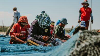 Group of fishermen repairing nets on a sunny day in East Java, Indonesia.