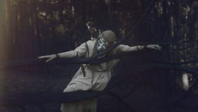 A figure in a whimsical costume poses eerily amidst a foggy, dark forest.