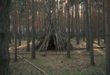 Discover tranquility with this wooden teepee structure nestled in a peaceful pine forest.