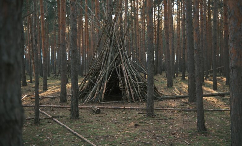 Discover tranquility with this wooden teepee structure nestled in a peaceful pine forest.