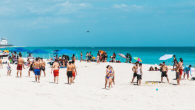 Groups enjoying volleyball and relaxation on sunlit Miami Beach.
