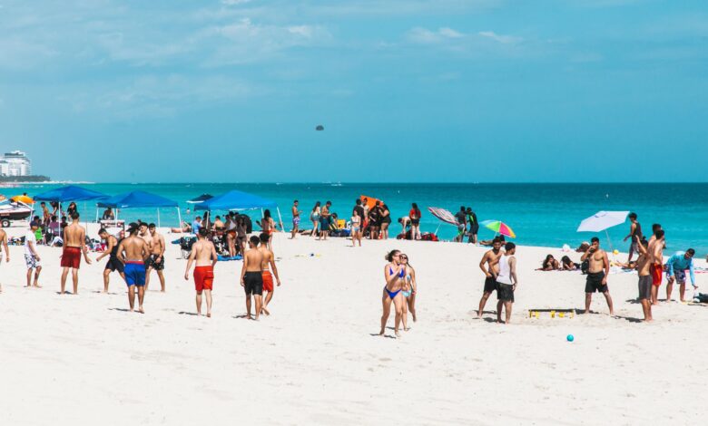Groups enjoying volleyball and relaxation on sunlit Miami Beach.