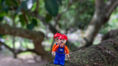 Colorful LEGO figure on tree branch, blending creativity with nature.