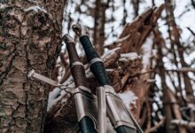 Detailed view of swords against a snowy tree in a winter forest setting.