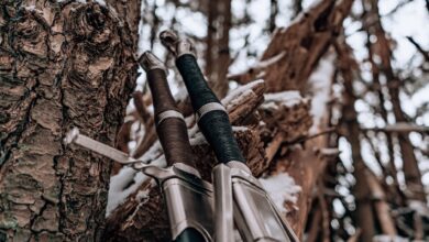Detailed view of swords against a snowy tree in a winter forest setting.