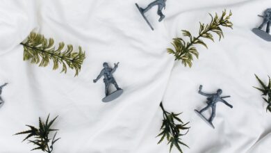 Plastic toy soldiers arranged on a white background with green fern leaves.