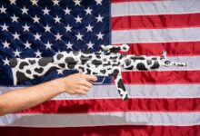 Cow-patterned rifle held in front of American flag, symbolizing culture clash.
