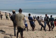 Men on the beach engaged in a tug of war, displaying teamwork and strength.
