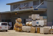 Outdoor view of a brewery with stacked barrels and a delivery van showcasing industrial beer production.