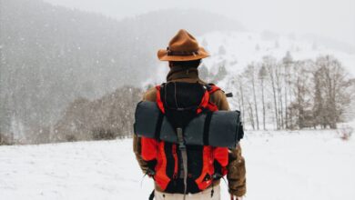 Back view of a male hiker in winter gear walking through a snowy landscape.