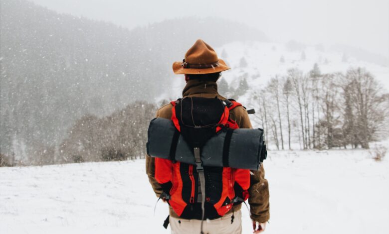 Back view of a male hiker in winter gear walking through a snowy landscape.