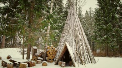 Rustic tepee in a snowy forest surrounded by pine trees and stacked firewood.