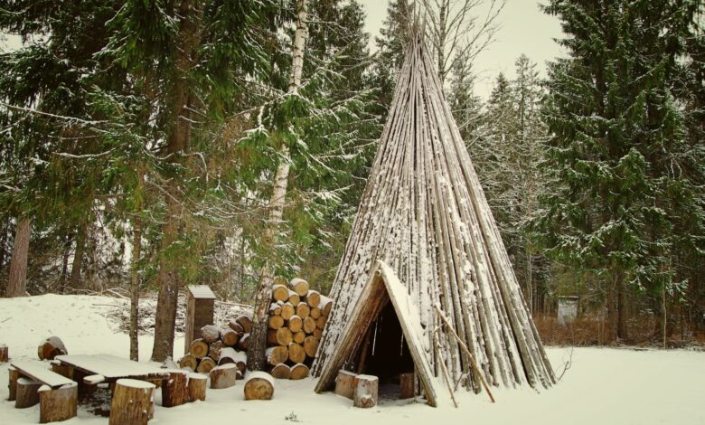 Rustic tepee in a snowy forest surrounded by pine trees and stacked firewood.