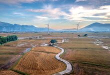 Aerial photo of vast fields with wind turbines under a vibrant sky in Vietnam. Perfect for renewable energy concepts.