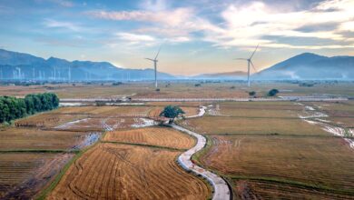 Aerial photo of vast fields with wind turbines under a vibrant sky in Vietnam. Perfect for renewable energy concepts.