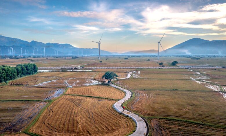 Aerial photo of vast fields with wind turbines under a vibrant sky in Vietnam. Perfect for renewable energy concepts.