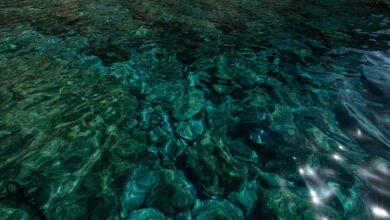 A mesmerizing view of turquoise ocean water reflecting sunlight, revealing underwater textures and patterns.