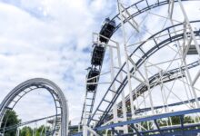 Experience the adrenaline rush of a steel roller coaster under blue skies at an amusement park.