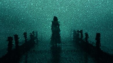 A dark silhouette stands amidst a textured, abstract design, creating a sense of mystery.