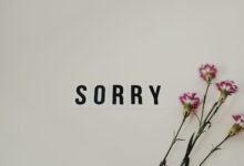 Word 'SORRY' displayed with pink carnations on a white background