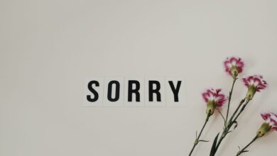 Word 'SORRY' displayed with pink carnations on a white background