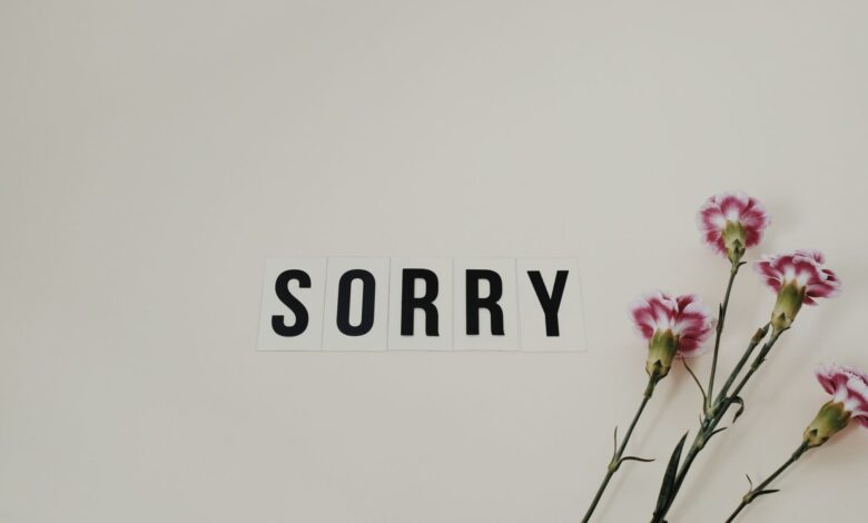 Word 'SORRY' displayed with pink carnations on a white background