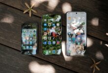 Aerial view of three smartphones with varied home screens on a wooden background with scattered dried flowers.