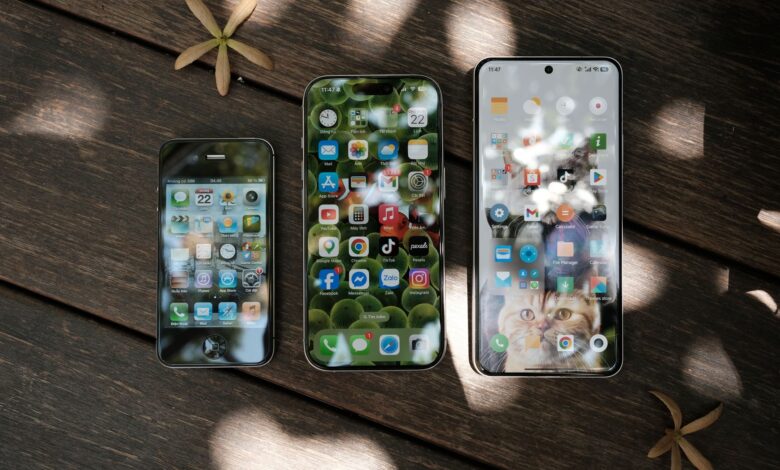 Aerial view of three smartphones with varied home screens on a wooden background with scattered dried flowers.