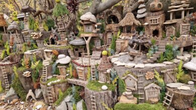 Charming rustic fairy village in the woods with tiny houses and ladders.