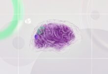 3D rendered abstract design featuring a digital brain visual with vibrant colors.