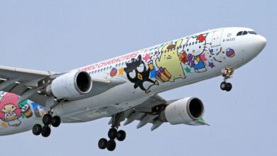 Airplane adorned with vibrant Sanrio characters, soaring in clear skies.
