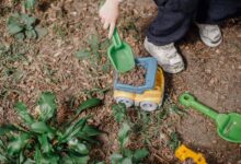 Top view of anonymous playful child picking soil into plastic toy car while playing on ground with green plants on street