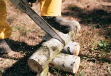 Forestry worker using a chainsaw to cut tree logs in an outdoor setting.
