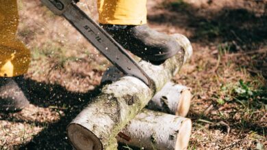 Forestry worker using a chainsaw to cut tree logs in an outdoor setting.