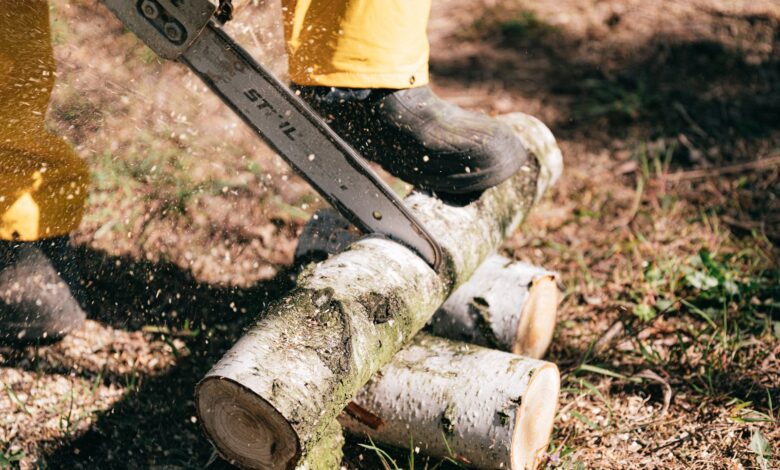 Forestry worker using a chainsaw to cut tree logs in an outdoor setting.