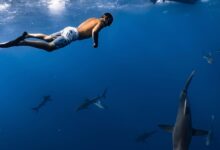 A man swimming alongside sharks in open ocean, showcasing underwater adventure and marine life.