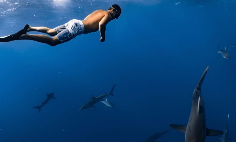 A man swimming alongside sharks in open ocean, showcasing underwater adventure and marine life.