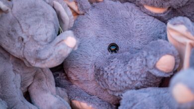 Charming close-up of plush elephant toys showcasing their soft textures and vibrant colors.