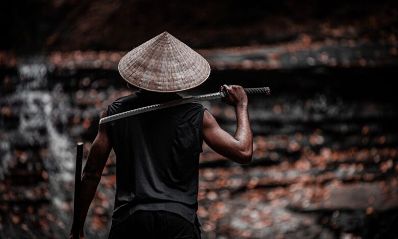 A person with a conical hat holding a sword, creating a mysterious warrior silhouette.
