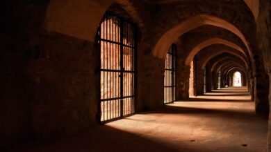 Dramatic lighting in an ancient stone corridor with gothic arches and barred gates.