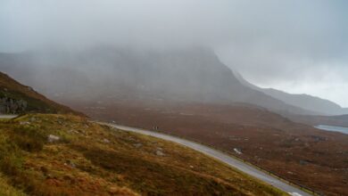 A winding road through a misty mountain landscape offering a serene and atmospheric view.
