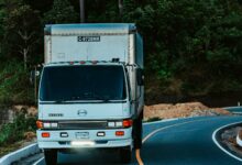 A white truck driving on a winding road surrounded by dense green forest plants.